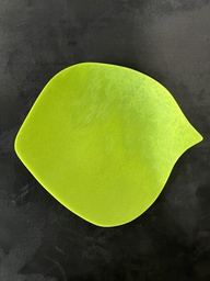 [VEFU-F06-B31] Assiette 21cm Leaf Green